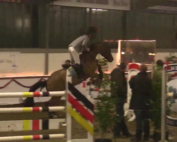 Hallen Late-Entry des RV Südlohn-Oeding 2014