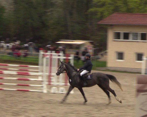Reitturnier Langenleuba - Oberhain 2025