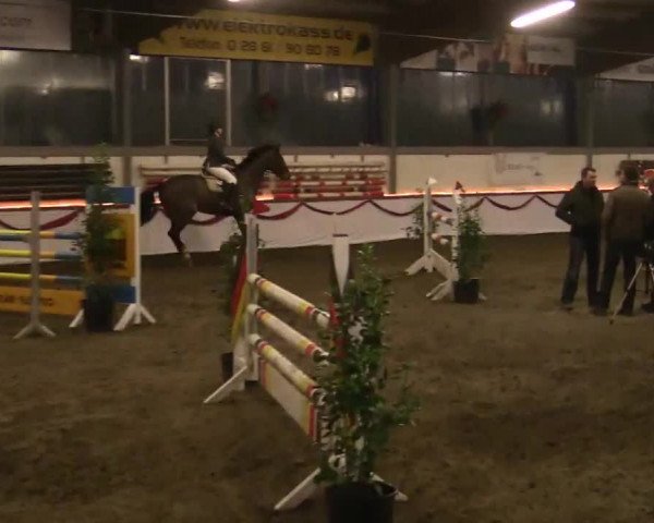Hallen Late-Entry des RV Südlohn-Oeding 2014