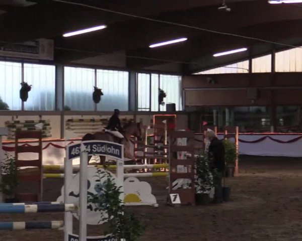 Hallen Late-Entry des RV Südlohn-Oeding 2014