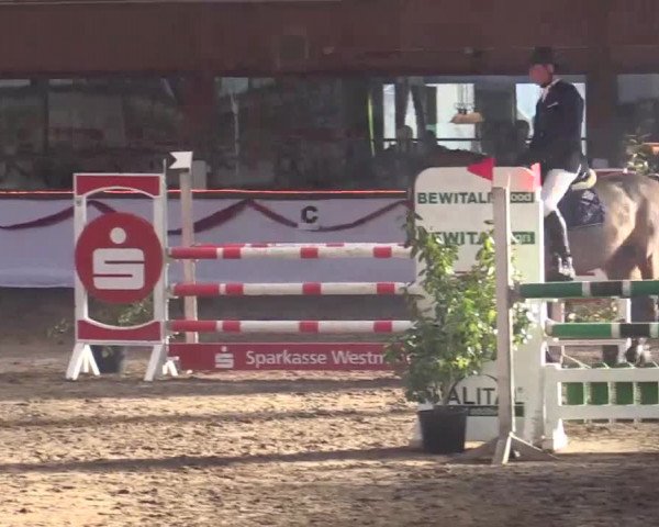 Hallen Late-Entry des RV Südlohn-Oeding 2014