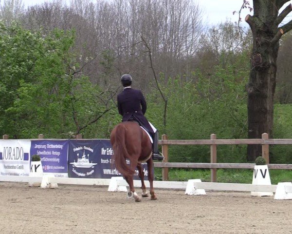 Reitturnier Scharnebeck 2025
