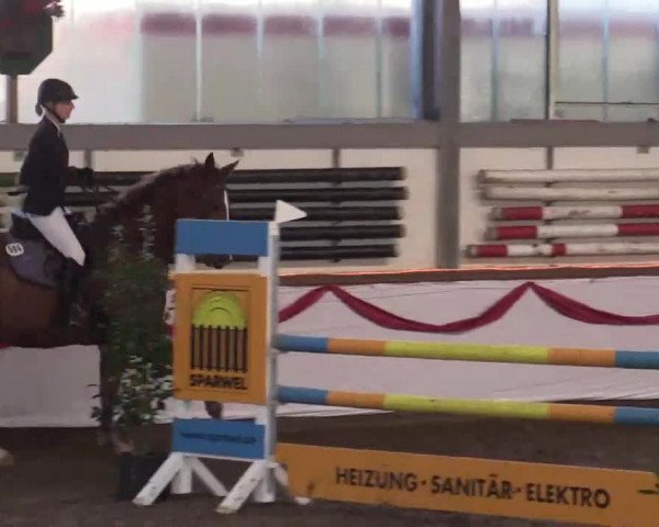 Hallen Late-Entry des RV Südlohn-Oeding 2014