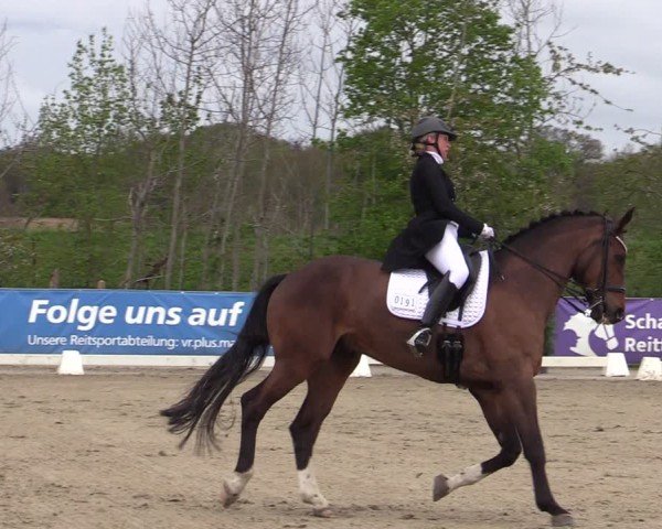 Reitturnier Scharnebeck 2025