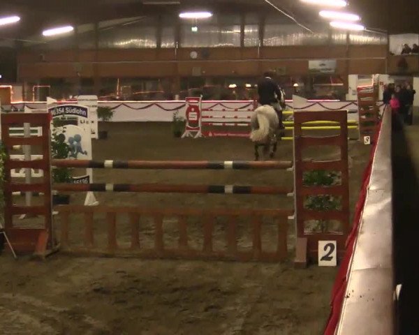 Hallen Late-Entry des RV Südlohn-Oeding 2014