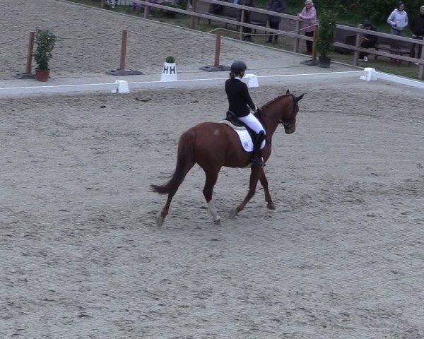 Reitturnier Scharnebeck 2025