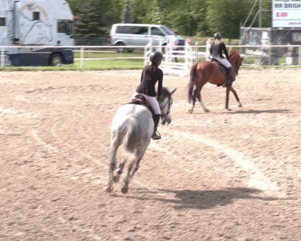 Reitturnier Margarethen am Moos 2025