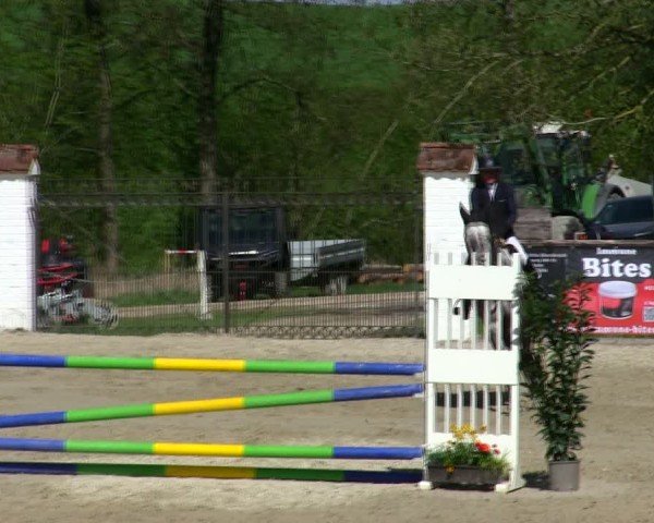 Reitturnier Pöttmes - Gut Sedlbrunn/Schw. 2025