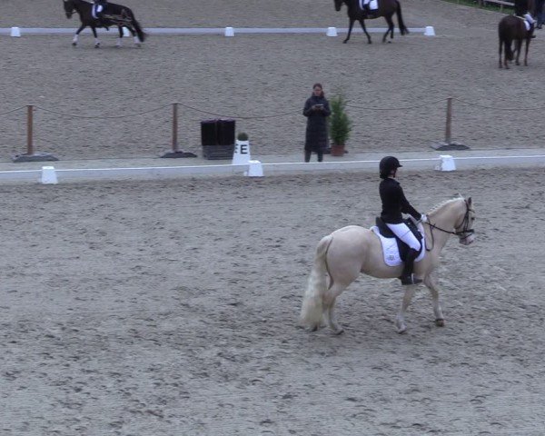 Reitturnier Scharnebeck 2025