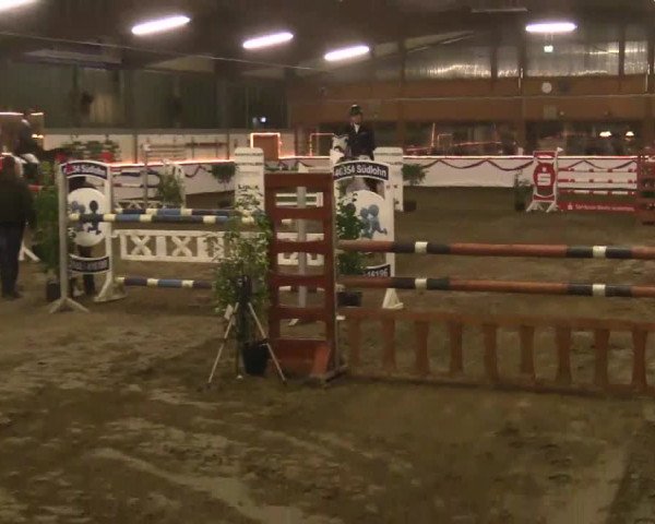 Hallen Late-Entry des RV Südlohn-Oeding 2014