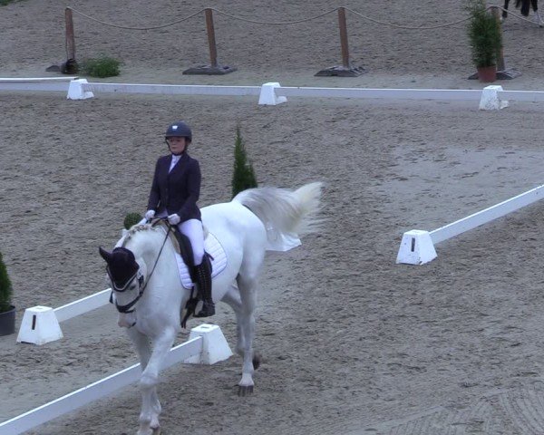 Reitturnier Scharnebeck 2025
