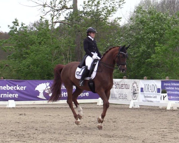 Reitturnier Scharnebeck 2025