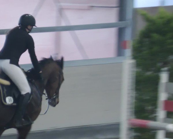 Reitturnier Waghäusel-Wiesental 2025