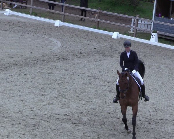 Reitturnier Scharnebeck 2025