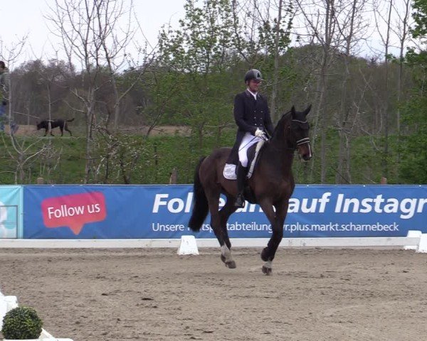 Reitturnier Scharnebeck 2025