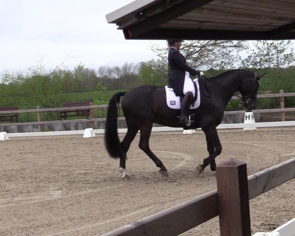 Reitturnier Scharnebeck 2025