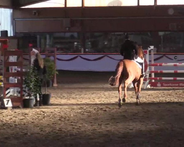 Hallen Late-Entry des RV Südlohn-Oeding 2014