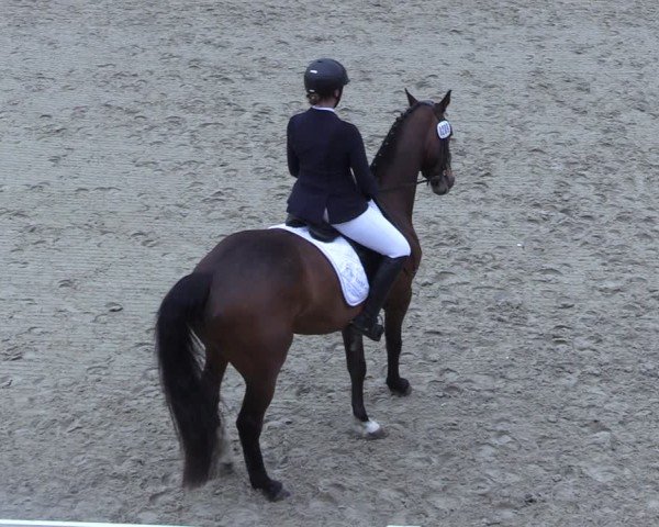 Reitturnier Scharnebeck 2025