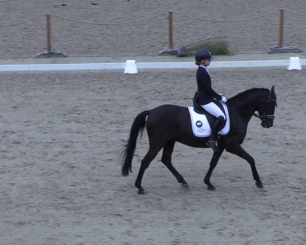 Reitturnier Scharnebeck 2025