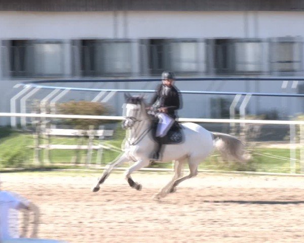 Reitturnier Margarethen am Moos 2025