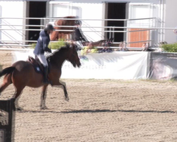 Reitturnier Margarethen am Moos 2025