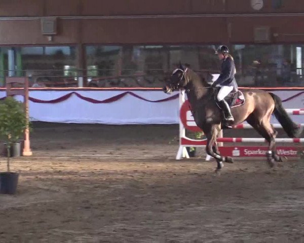 Hallen Late-Entry des RV Südlohn-Oeding 2014