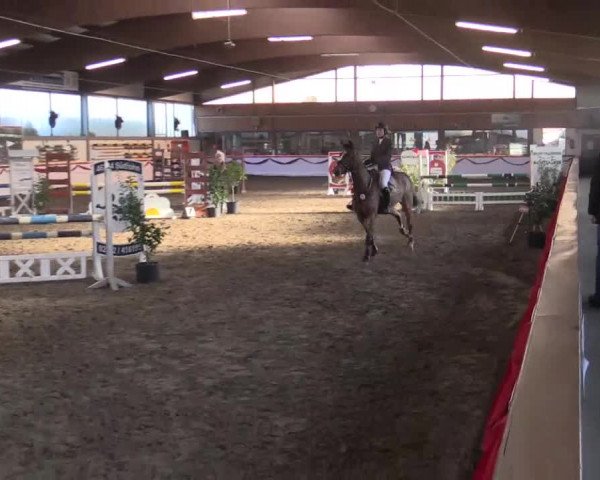 Hallen Late-Entry des RV Südlohn-Oeding 2014