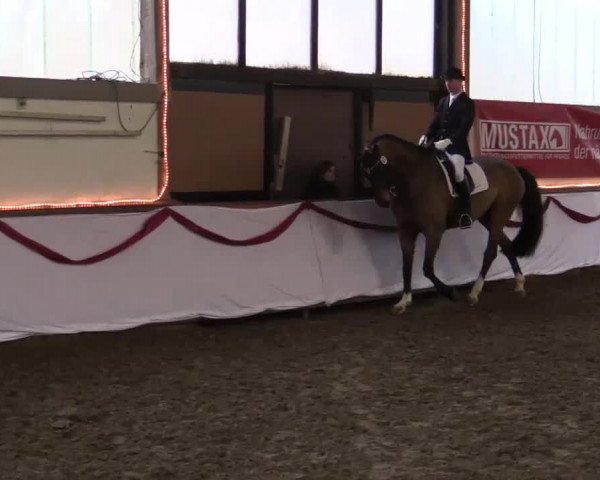 Hallen Late-Entry des RV Südlohn-Oeding 2014
