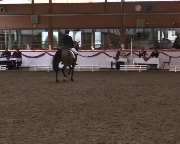 Hallen Late-Entry des RV Südlohn-Oeding 2014