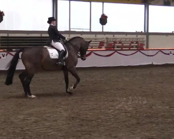 Hallen Late-Entry des RV Südlohn-Oeding 2014