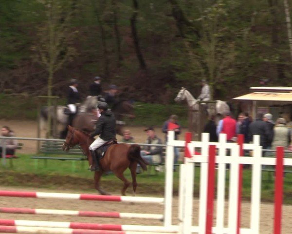 Reitturnier Langenleuba - Oberhain 2025