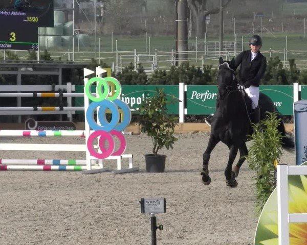 Reitturnier Sauldorf-Boll 2025