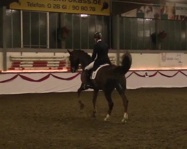 Hallen Late-Entry des RV Südlohn-Oeding 2014