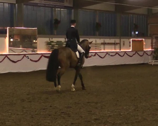 Hallen Late-Entry des RV Südlohn-Oeding 2014