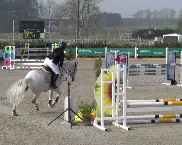 Reitturnier Sauldorf-Boll 2025