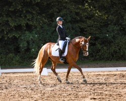 dressage horse Golden Gladys 3 (German Riding Pony, 2019, from Genscher)