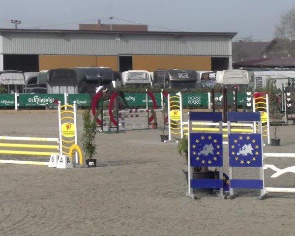 Reitturnier Sauldorf-Boll 2025