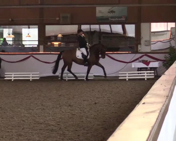 Hallen Late-Entry des RV Südlohn-Oeding 2014
