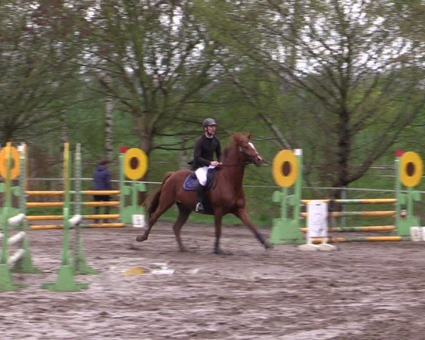Reitturnier Langenleuba - Oberhain 2025