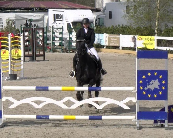 Reitturnier Sauldorf-Boll 2025