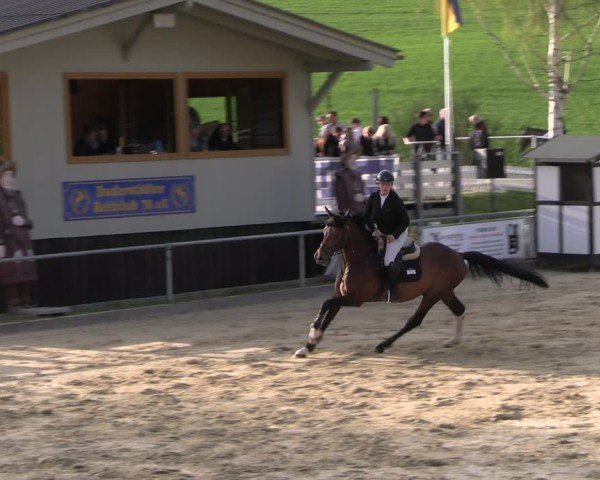 Reitturnier Duderstadt 2025