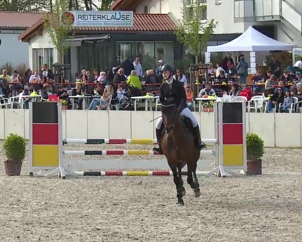 Reitturnier Grafenrheinfeld/Ufr. 2025