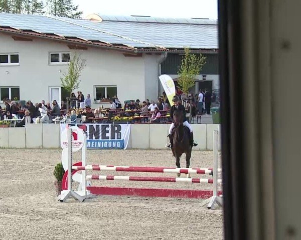 Reitturnier Grafenrheinfeld/Ufr. 2025
