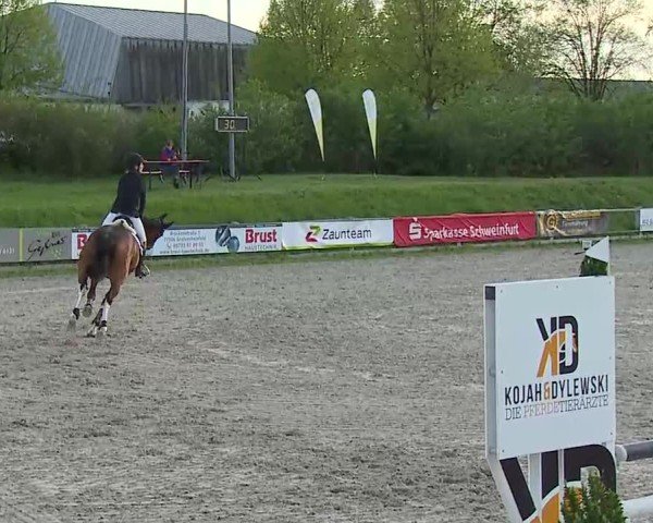 Reitturnier Grafenrheinfeld/Ufr. 2025