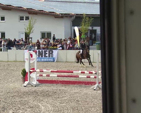 Reitturnier Grafenrheinfeld/Ufr. 2025