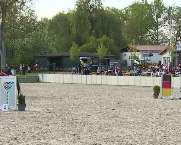 Reitturnier Grafenrheinfeld/Ufr. 2025
