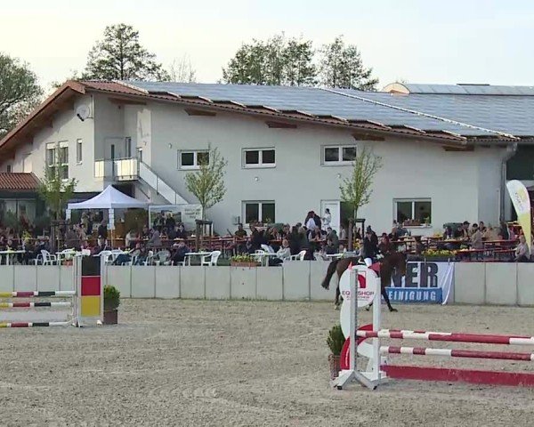 Reitturnier Grafenrheinfeld/Ufr. 2025