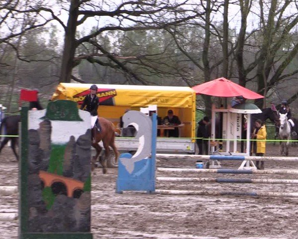 Reitturnier Langenleuba - Oberhain 2025