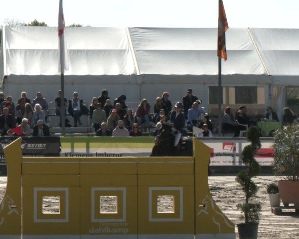 Lenklarer Reitertage Werne 2025