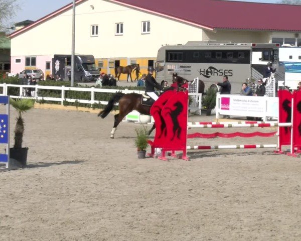 Reitturnier Sauldorf-Boll 2025